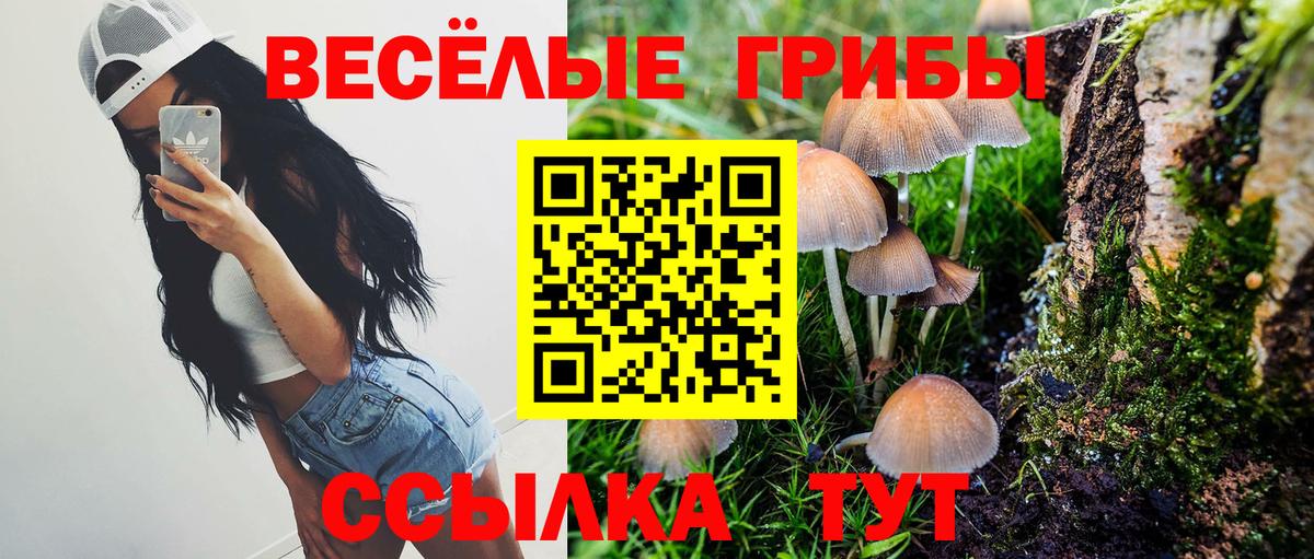 как найти   Вход с VPN  Гурьевск  Псилоцибиновые грибы мухоморы 